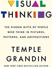 Visual Thinking: The Hidden Gifts of People Who Think in Pictures, Patterns and Abstractions cover