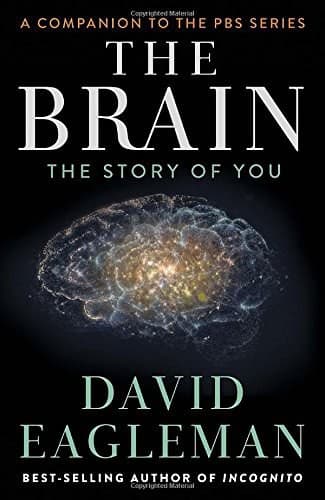 The Brain: The Story of You cover