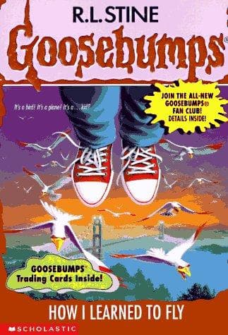 Learning How to Fly: Life Lessons for the Youth cover